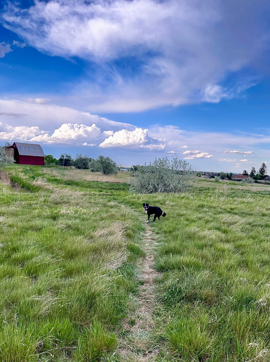 Part of the beautiful 3-mile trail from our home.