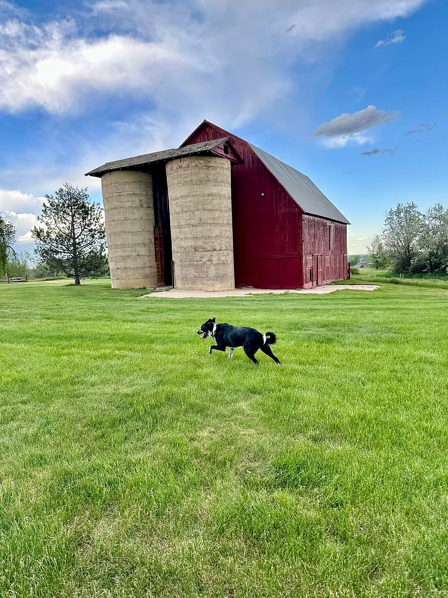 The historic barn at our neighborhood HOA park, one of two huge parks less than a 5-minute walk (under 1/4 mile) from our home, with a playground, grills, pergolas, large green spaces, tennis and basketball courts, and more!