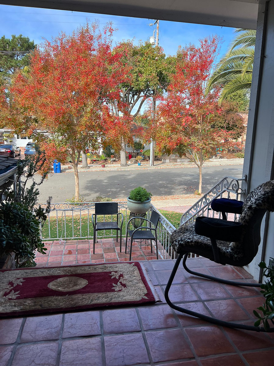 Furnished Finder property 1055996_1 photo 15