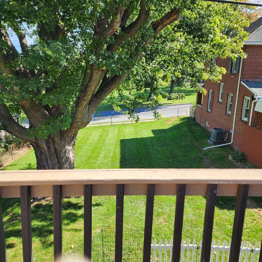 Furnished Finder property 1056106_1 photo 16