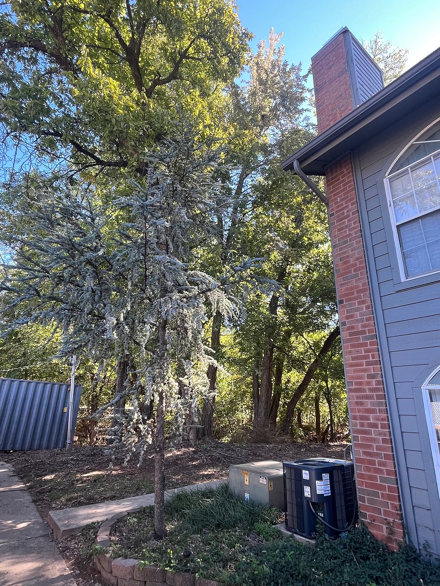 Furnished Finder property 1056151_1 photo 14