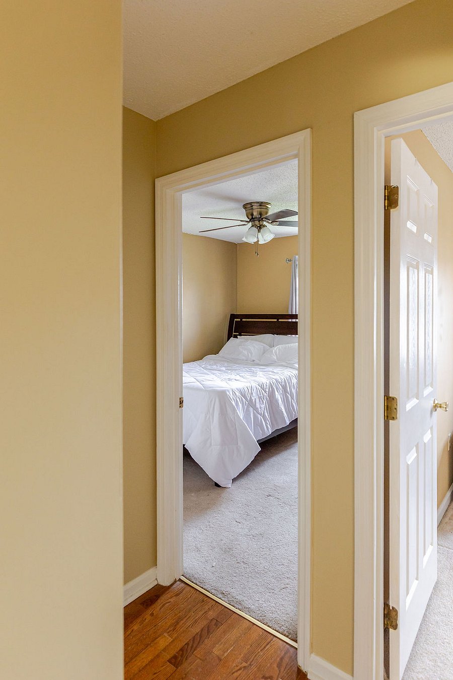 Furnished Finder property 1056158_1 photo 15