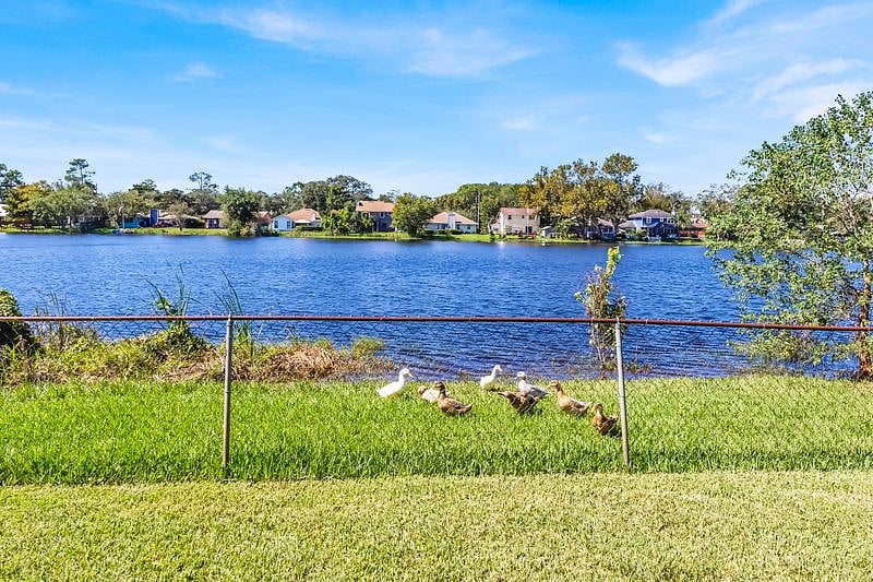 Furnished Finder property 1056160_1 photo 3