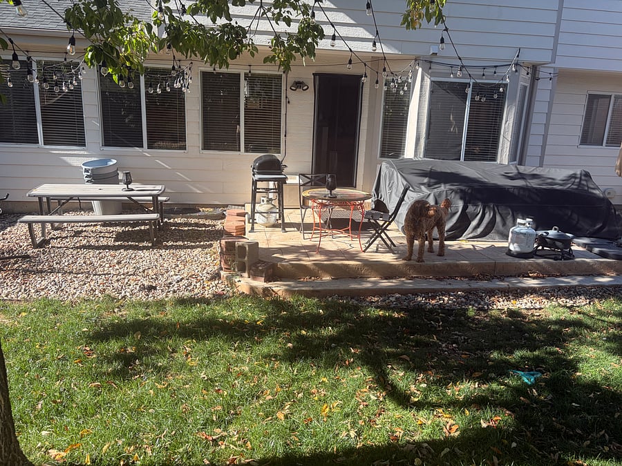 Furnished Finder property 1056224_1 photo 13
