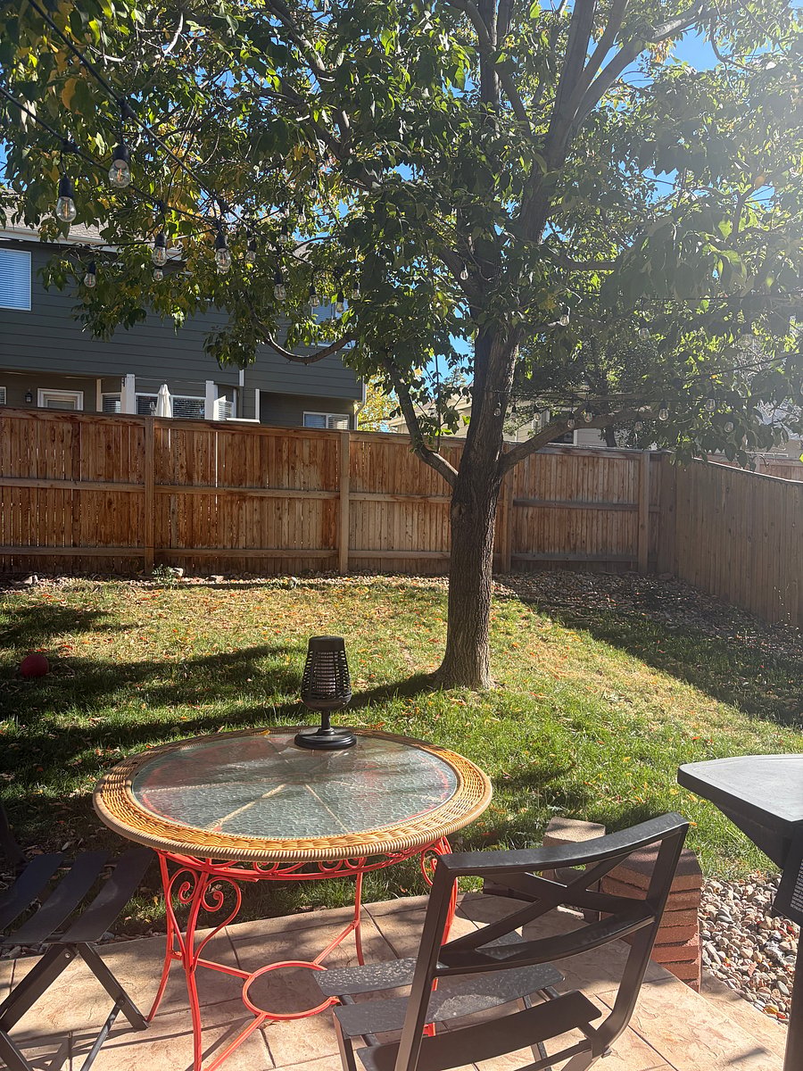 Furnished Finder property 1056224_1 photo 16