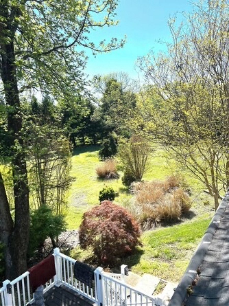 Furnished Finder property 1056294_1 photo 6