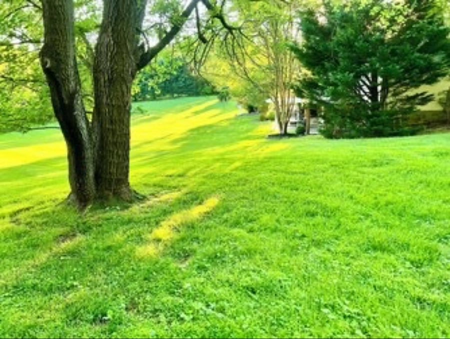 Furnished Finder property 1056294_1 photo 7