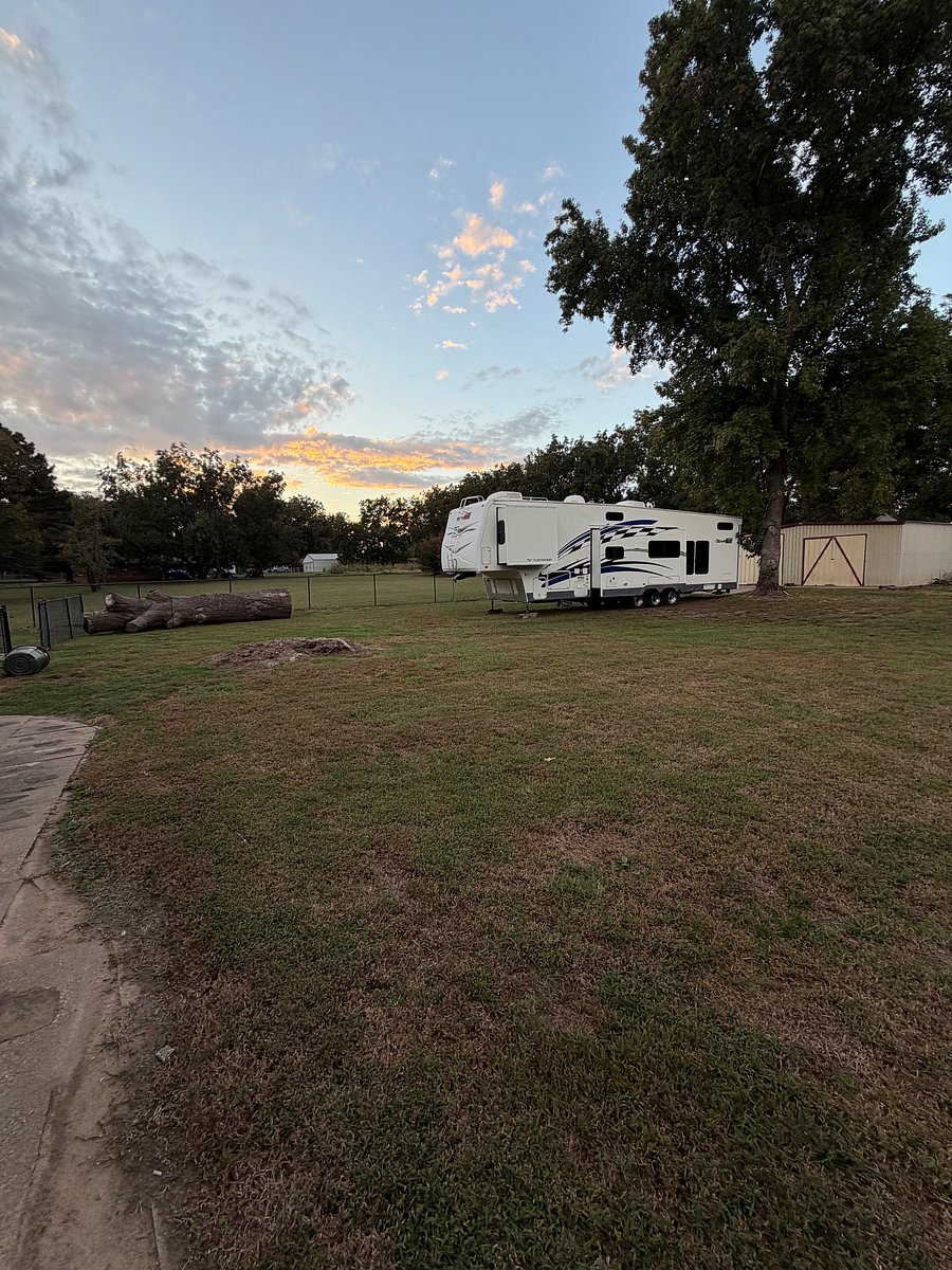 Back yard. The shop is reserved for the owners use.