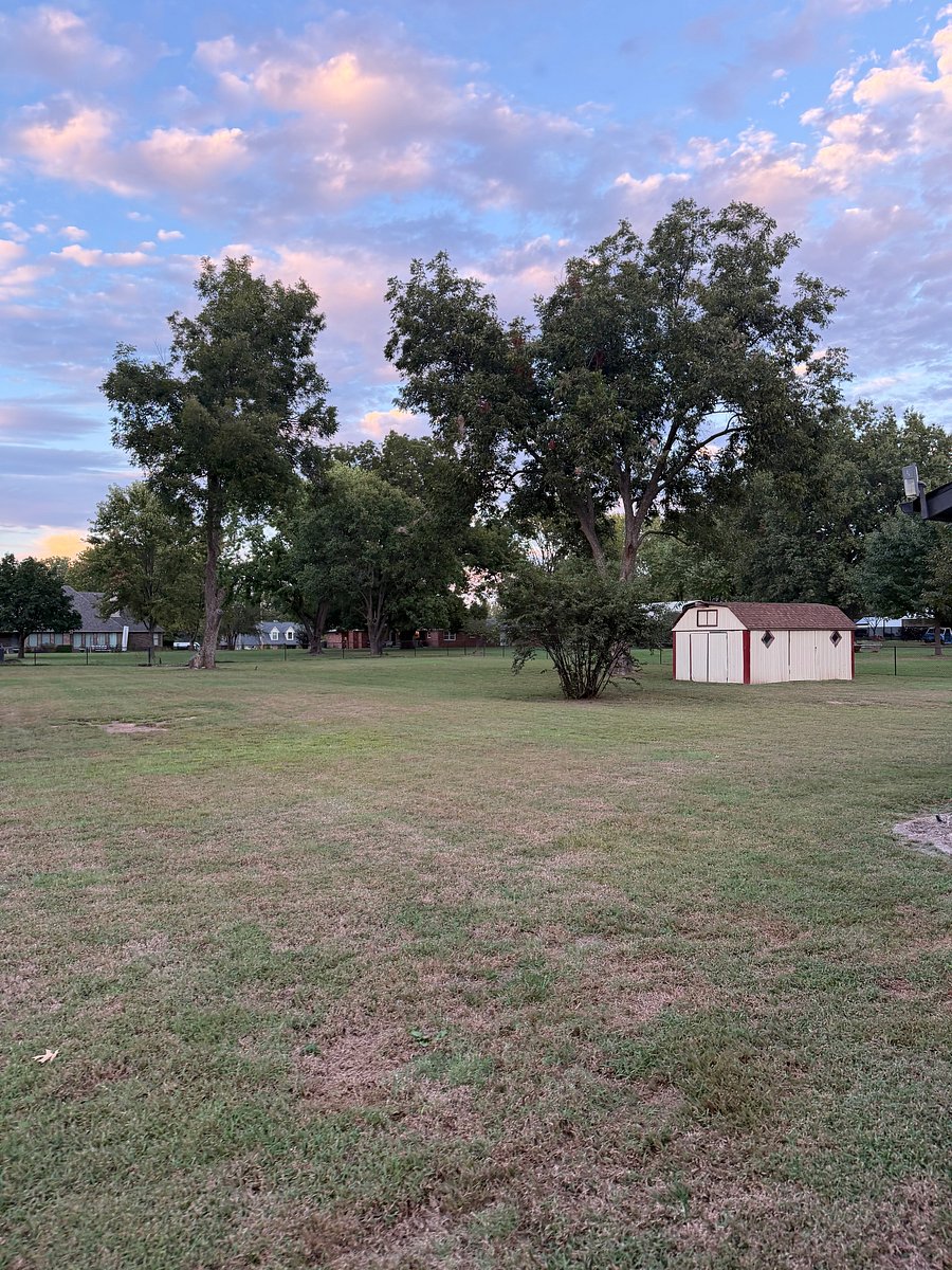 Back yard