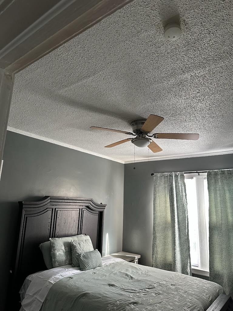 Furnished Finder property 1056457_1 photo 1