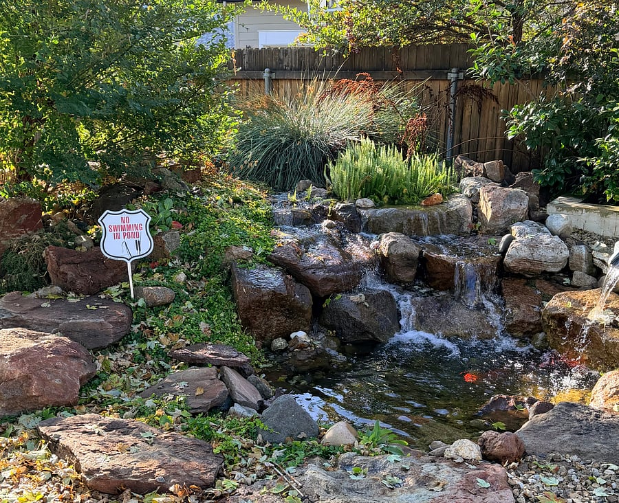 Furnished Finder property 1056544_1 photo 14