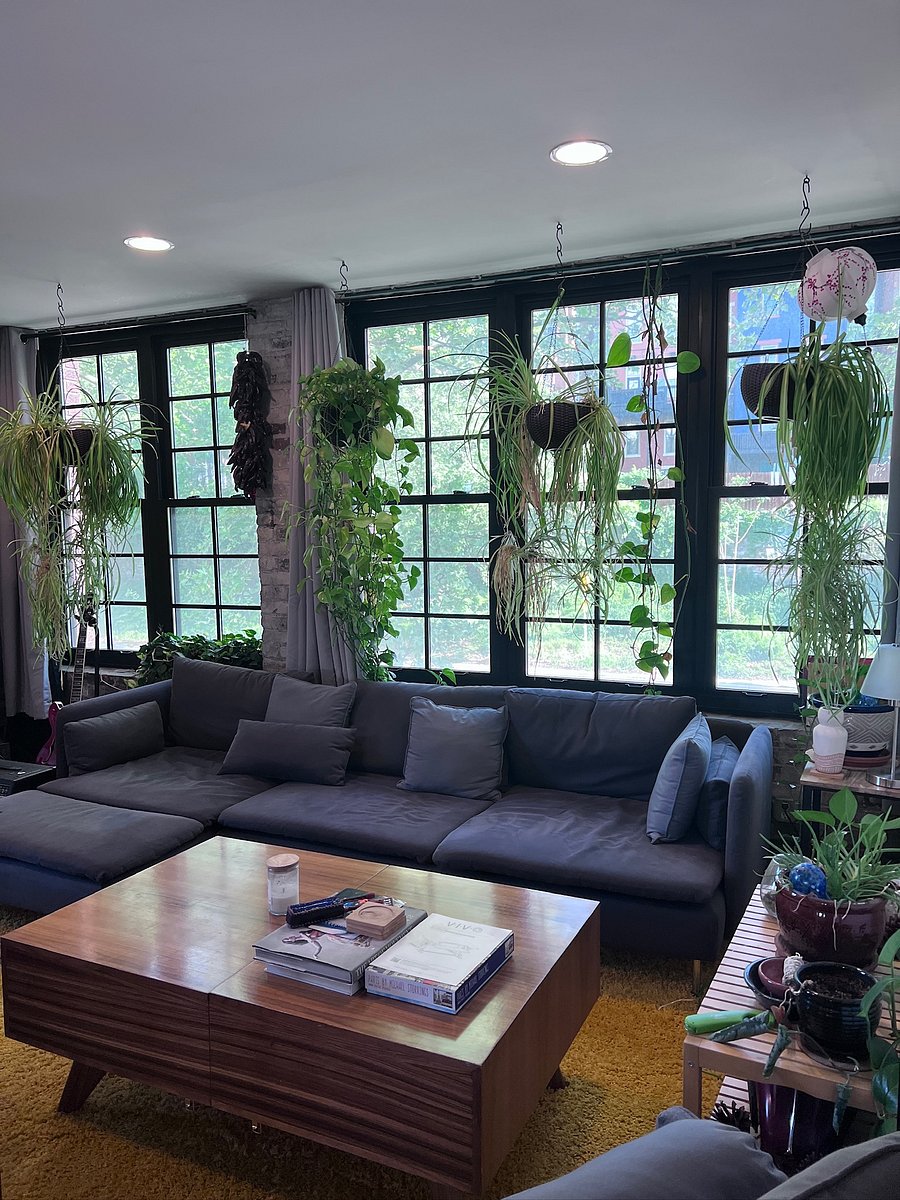 Furnished Finder property 1056596_1 photo 18
