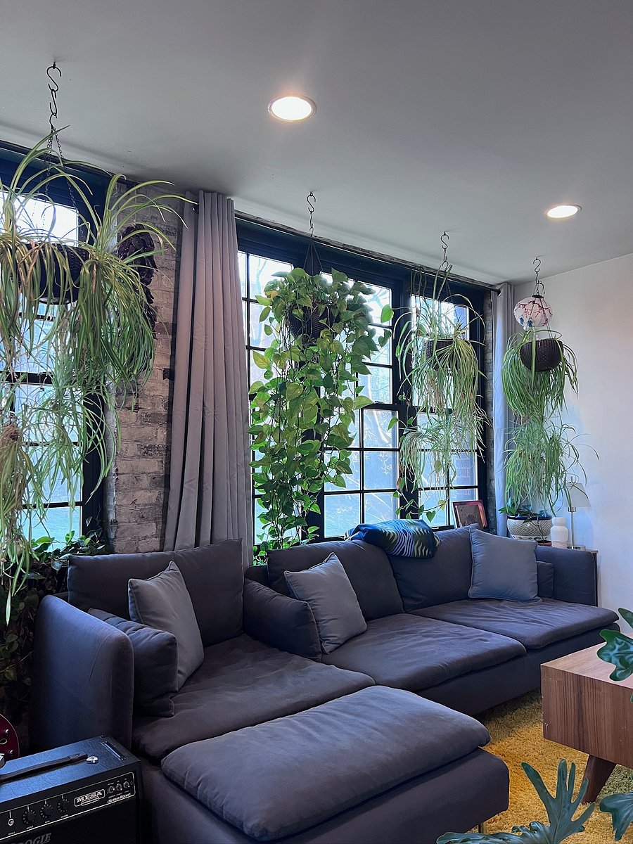 Furnished Finder property 1056596_1 photo 11