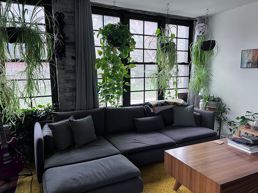 Furnished Finder property 1056596_1 photo 12