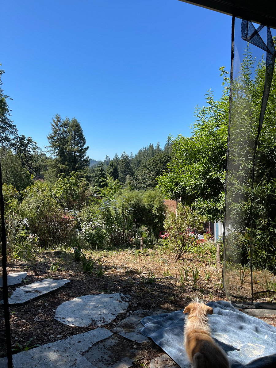 Up on top of the property in screened gazebo