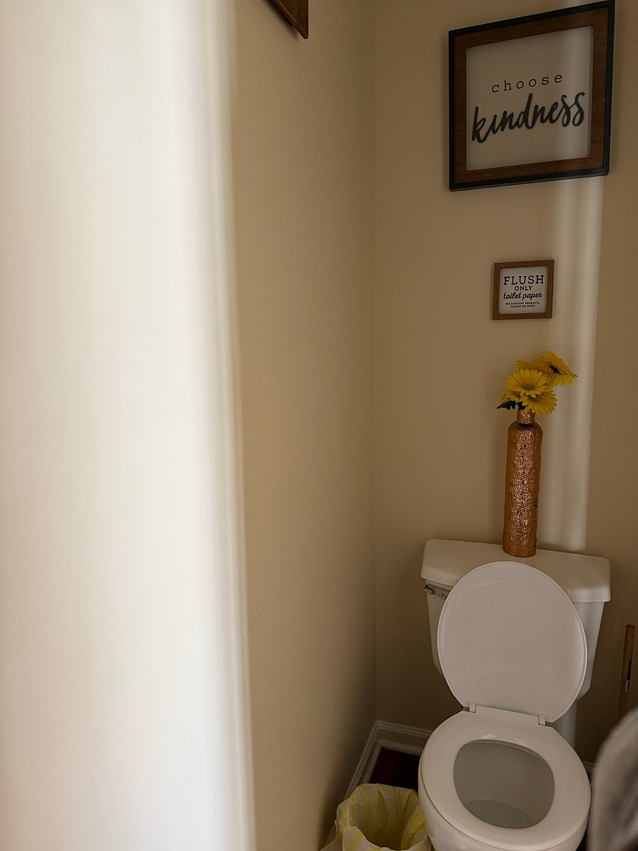 Furnished Finder property 1056819_1 photo 8