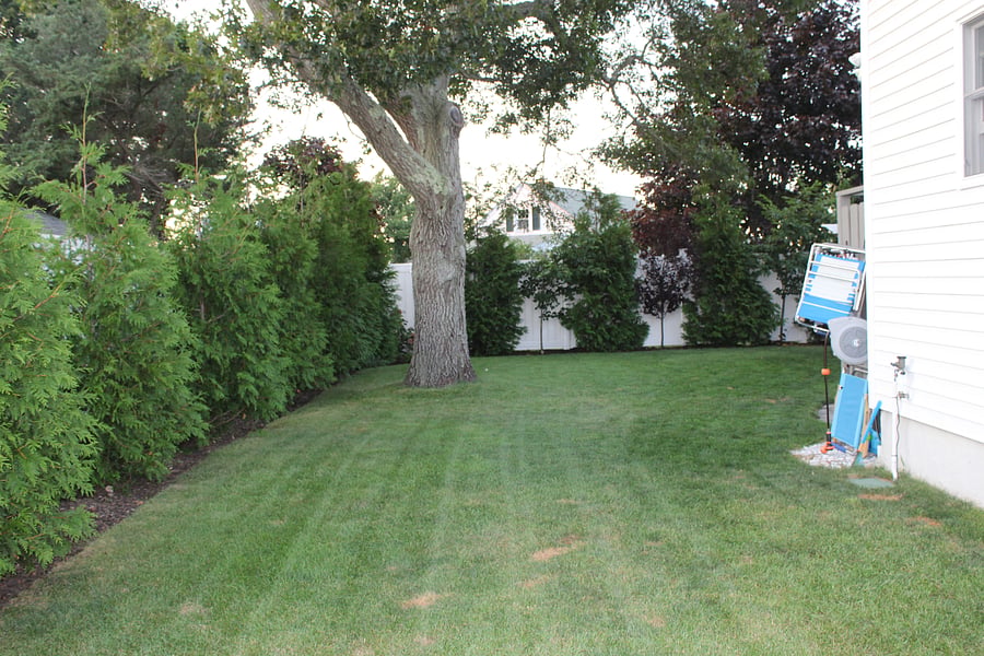 Furnished Finder property 1056876_1 photo 25