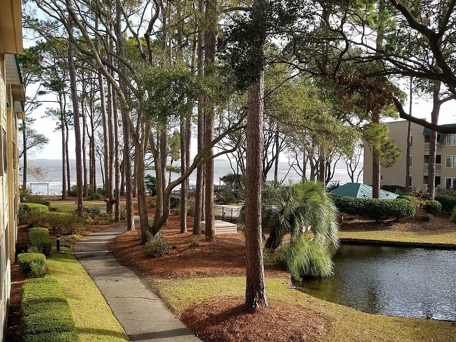 Furnished Finder property 1057338_1 photo 21