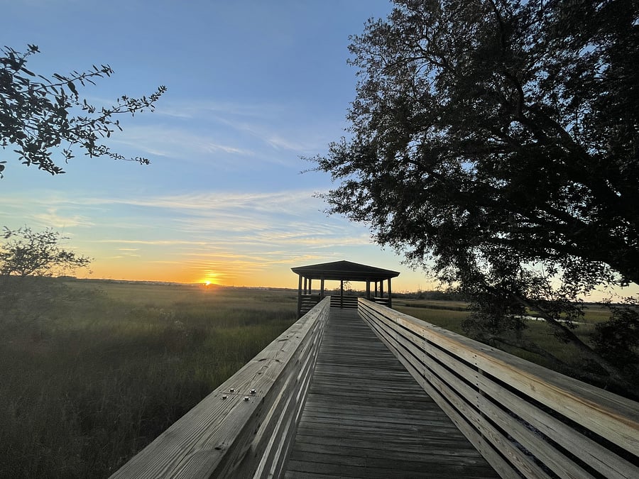 One of the many gorgeous views at Dutton Island Preserve, located at the end of the street