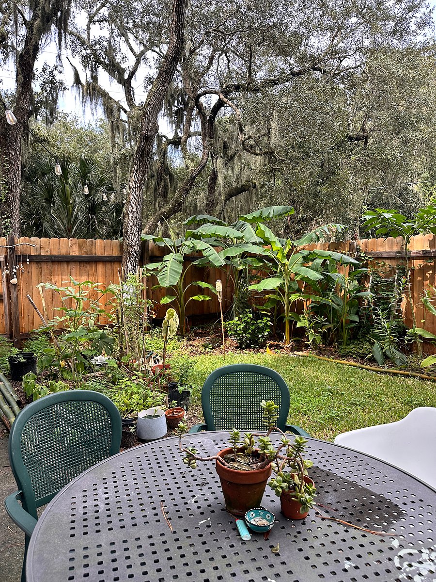 The beautifully-landscaped backyard & garden