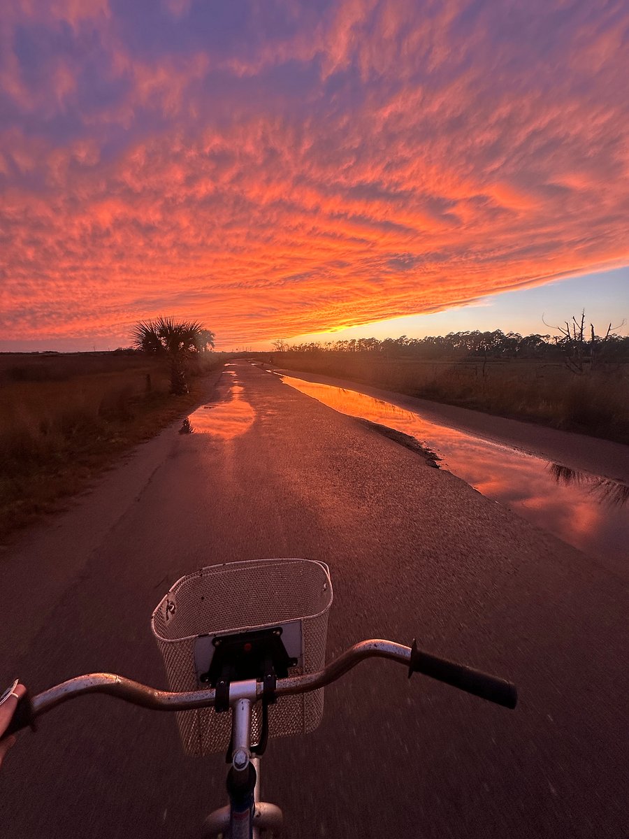 Bike through Dutton Island Preserve - beach cruiser included with home!