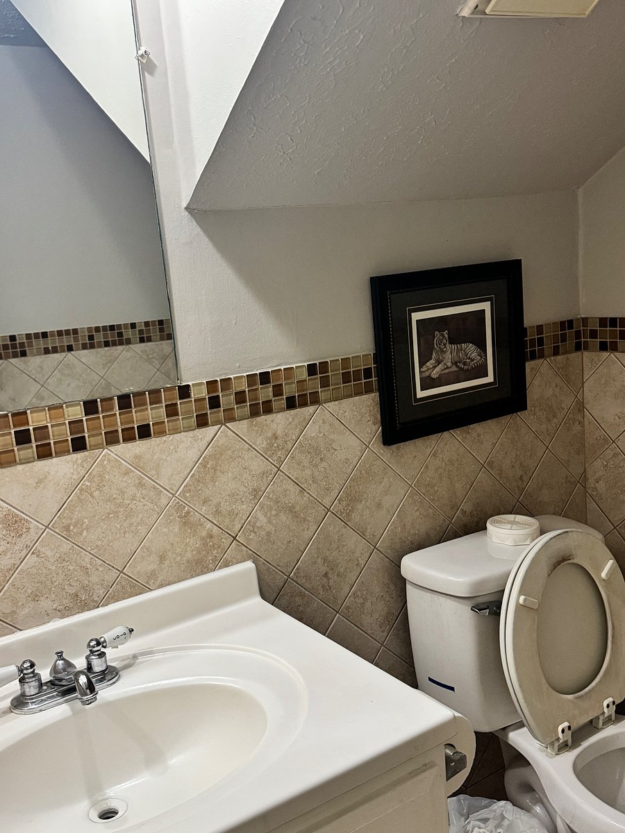 Furnished Finder property 1057826_1 photo 8