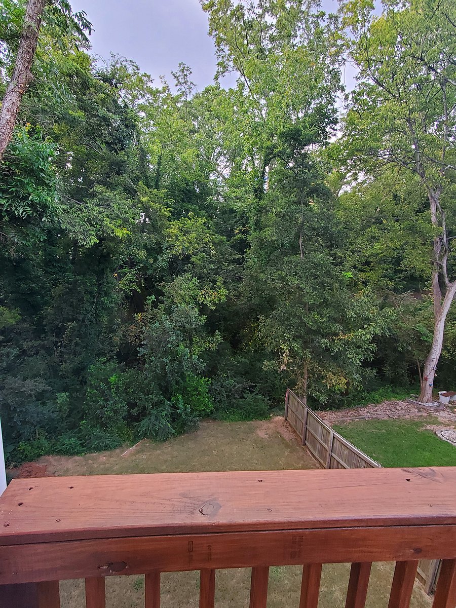 Furnished Finder property 1057998_1 photo 17