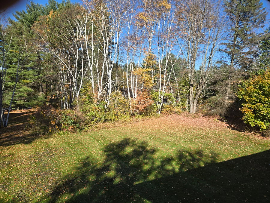 Furnished Finder property 1058025_1 photo 19