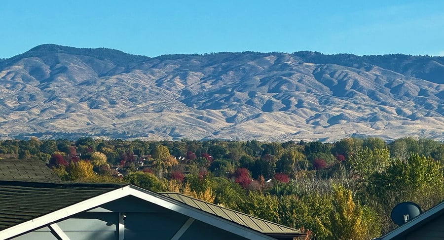 North facing views.