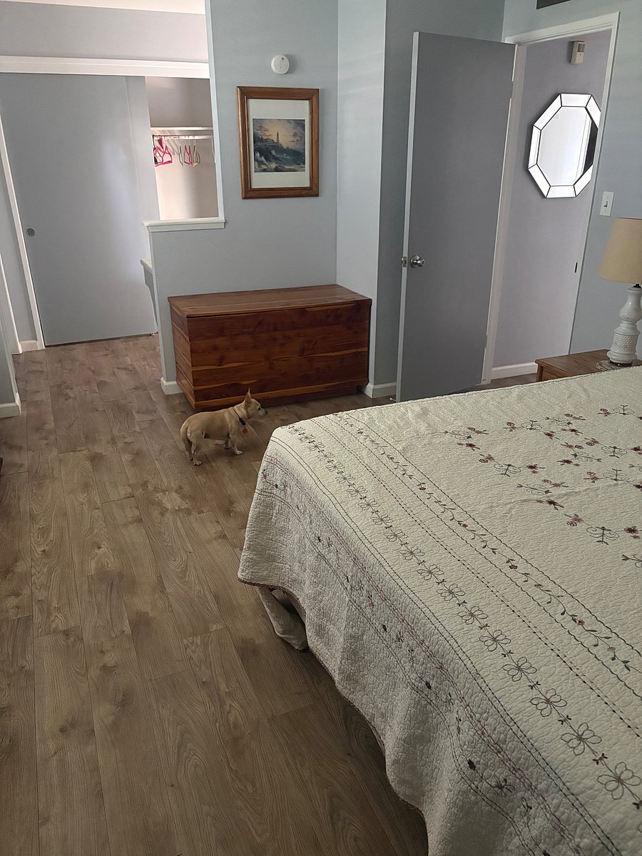 Furnished Finder property 1058342_1 photo 10