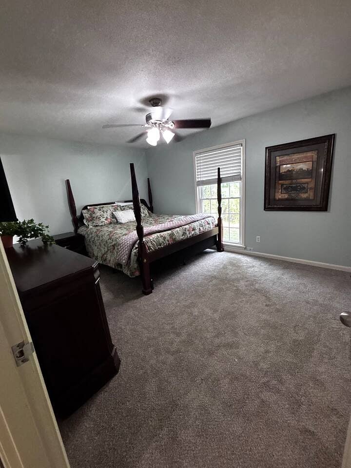 Furnished Finder property 1058603_1 photo 7