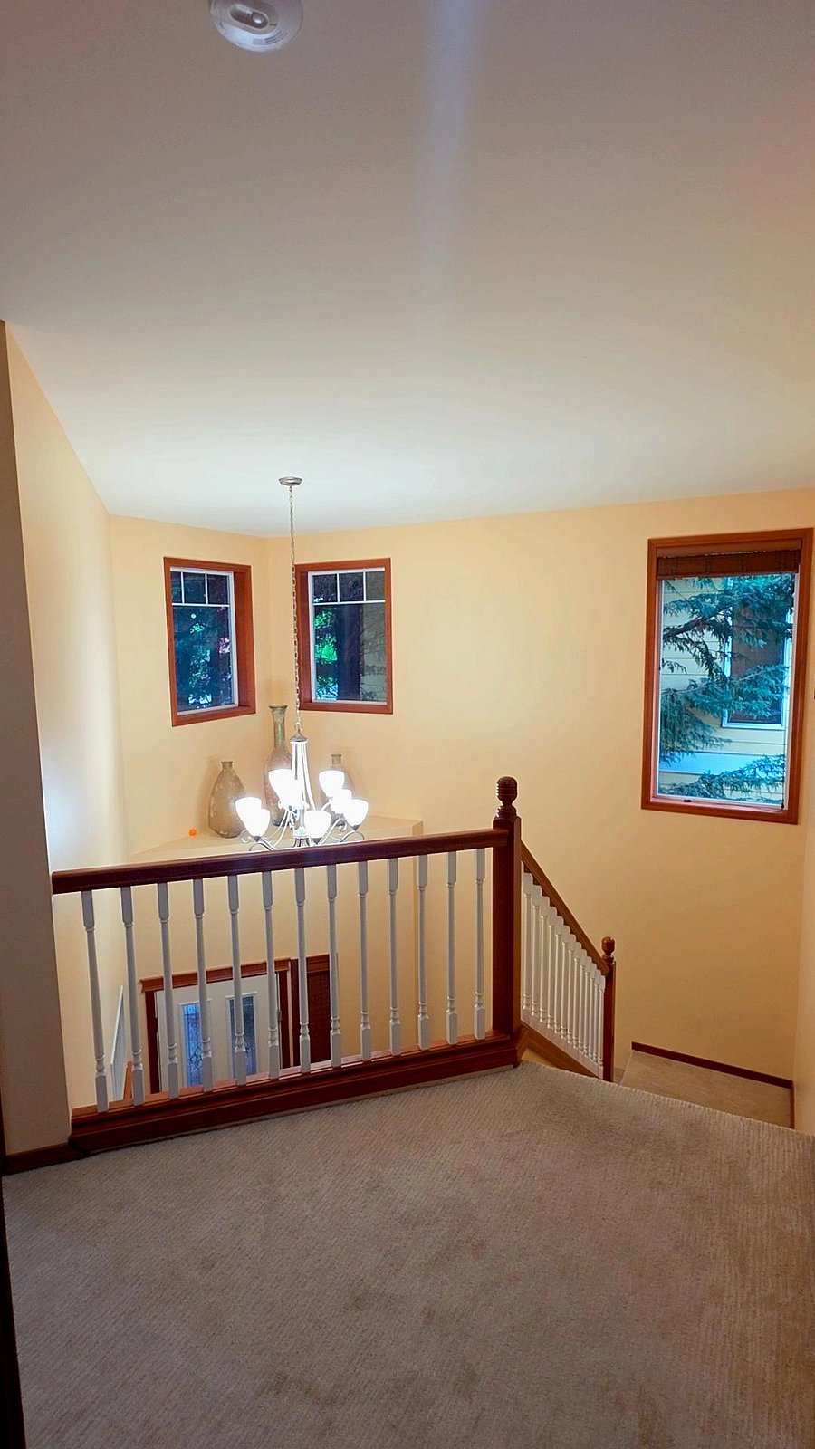 Furnished Finder property 1058824_1 photo 15