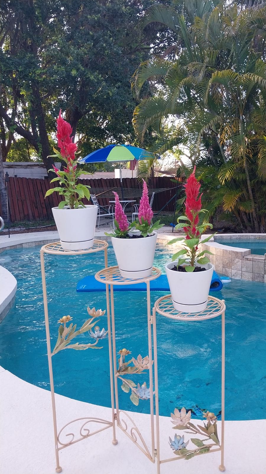 Furnished Finder property 1058831_1 photo 18