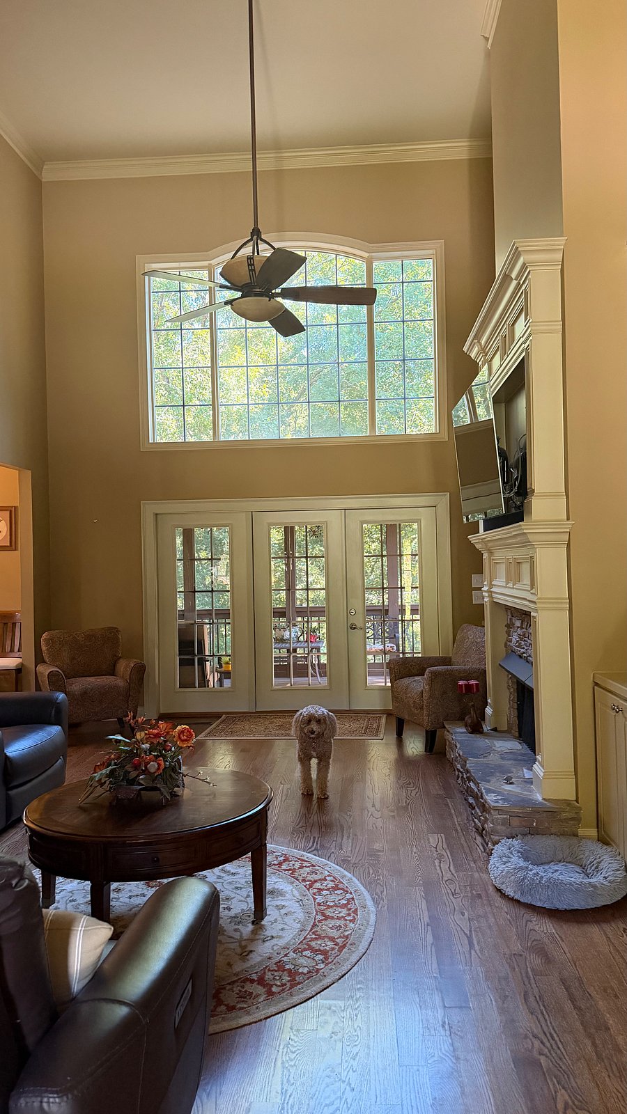 Furnished Finder property 1058974_1 photo 5