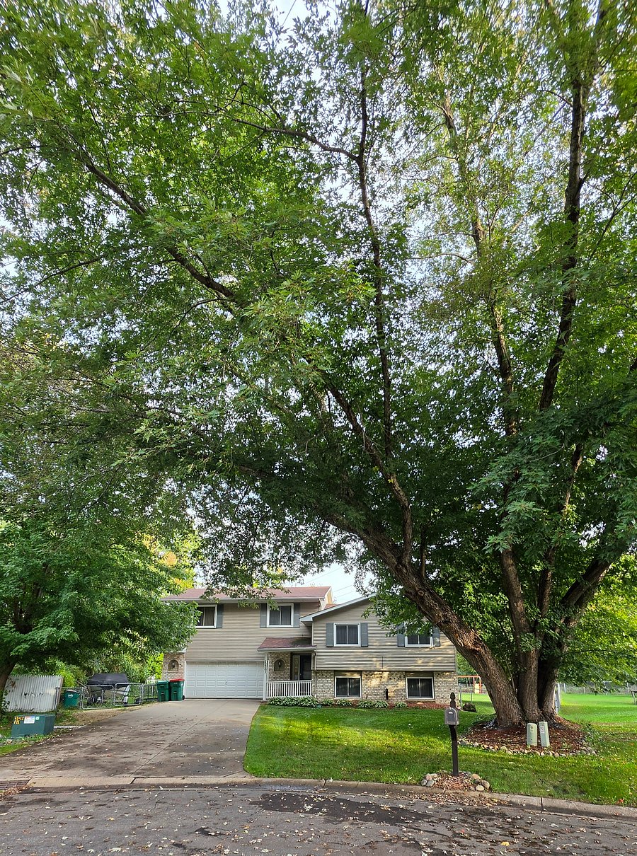 Furnished Finder property 1059094_1 photo 24