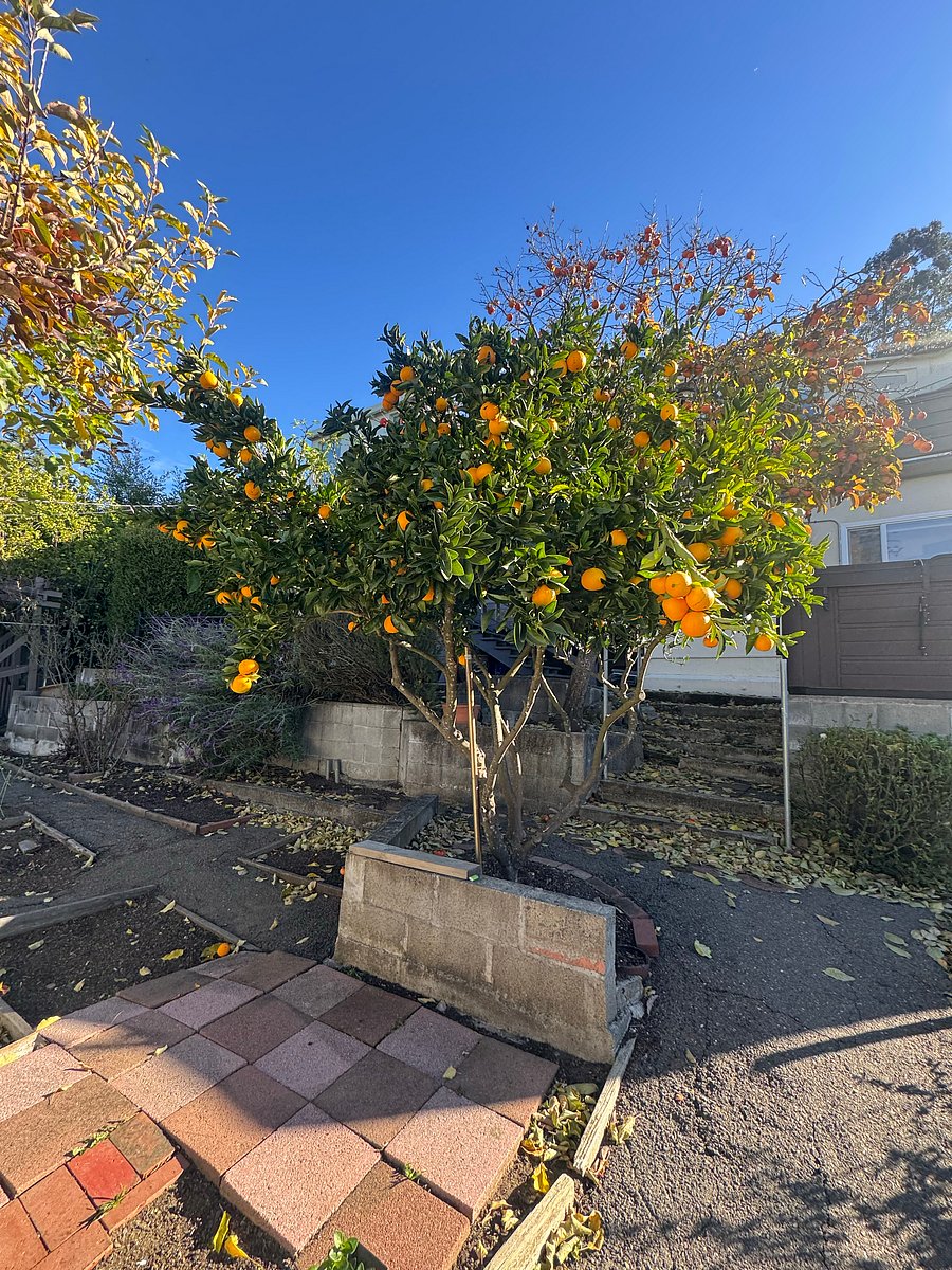 Furnished Finder property 1059232_1 photo 15