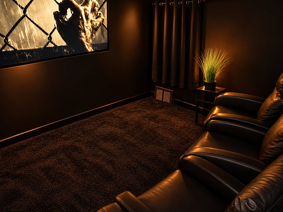 Theatre Room (Reverse)