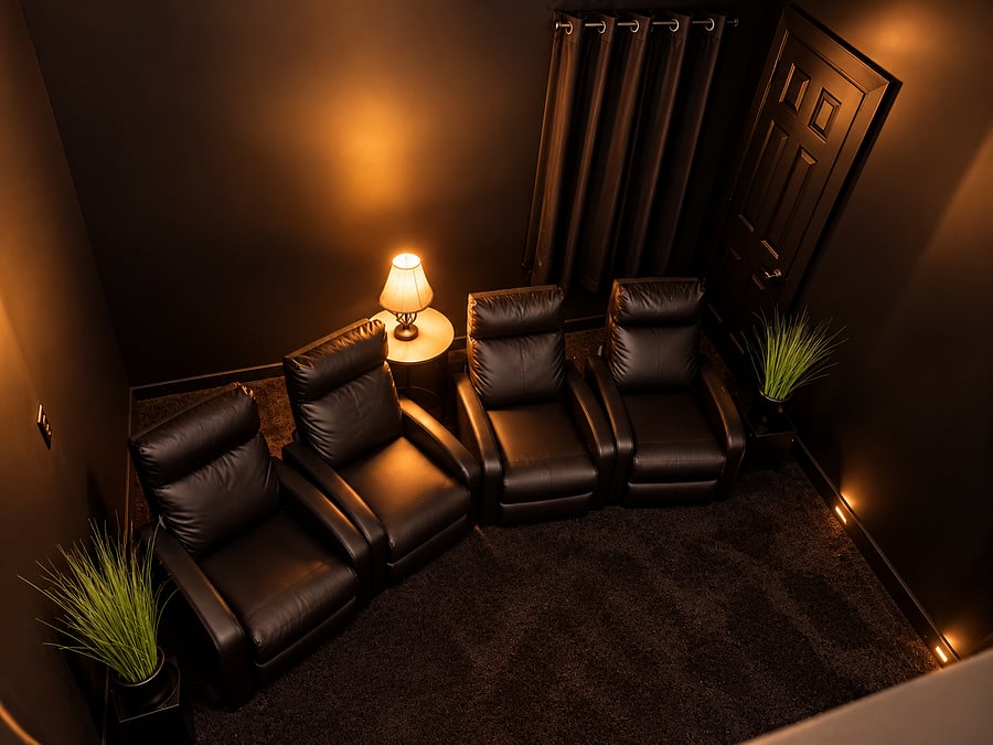 Theatre Room (Overhead)