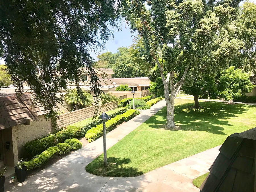 View from Main Bedroom