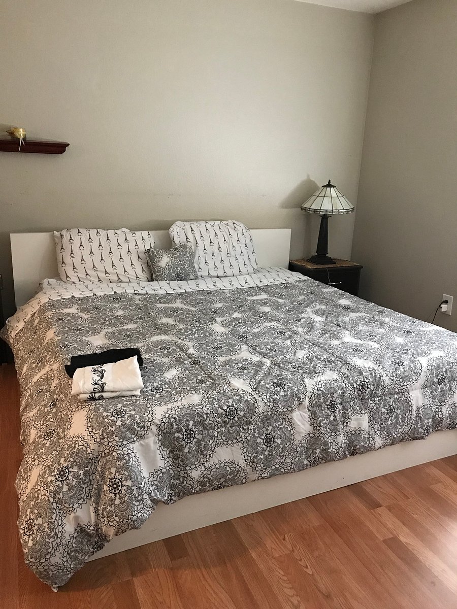 Furnished Finder property 180266_1 photo 14
