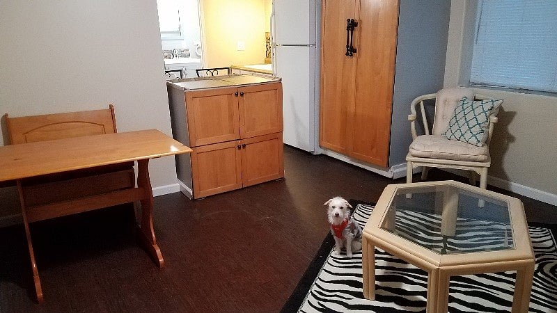 Dining area and/or desk.
