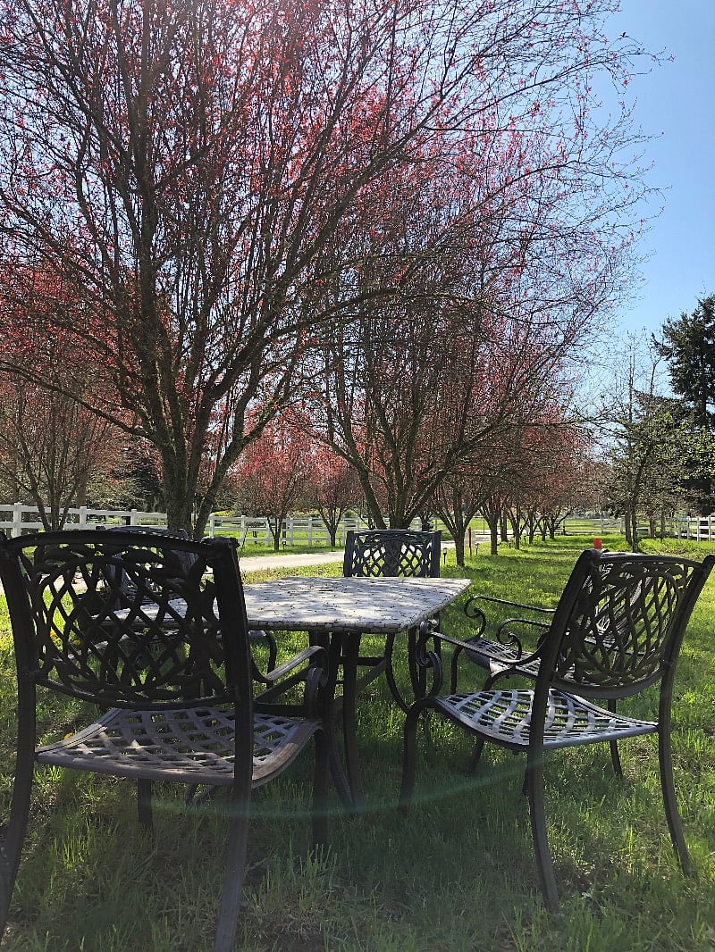 Outdoor seating area
