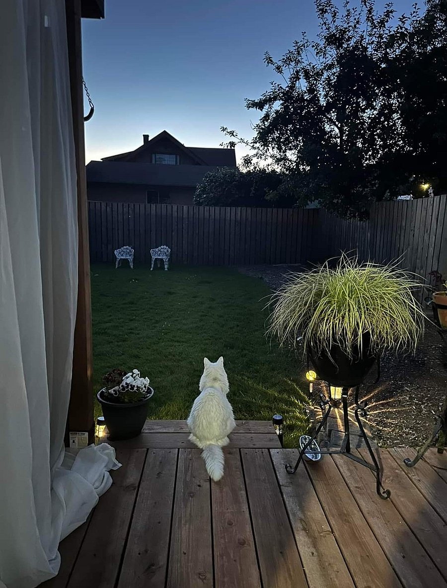 Back yard and porch
of apartment