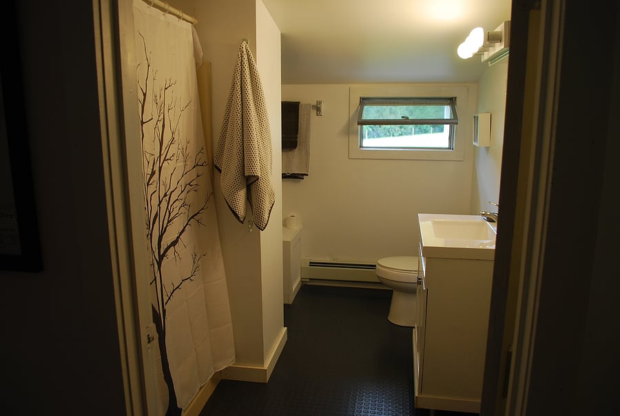 BATHROOM shoer/tub combo
