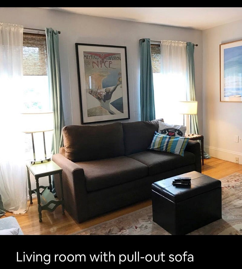 Living room with pull out sofa