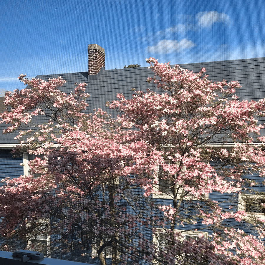 Furnished Finder property 187414_1 photo 13