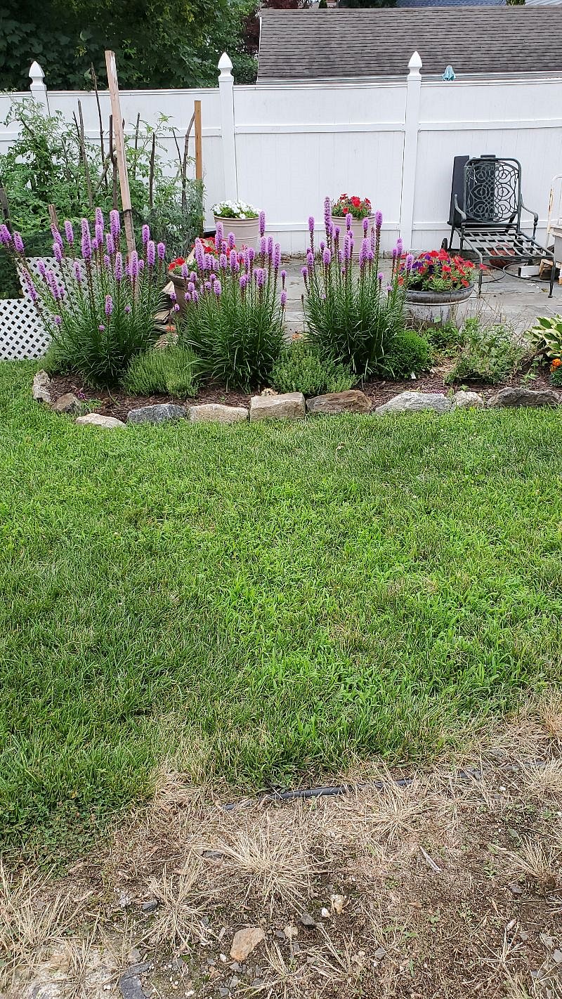 Furnished Finder property 188032_1 photo 3