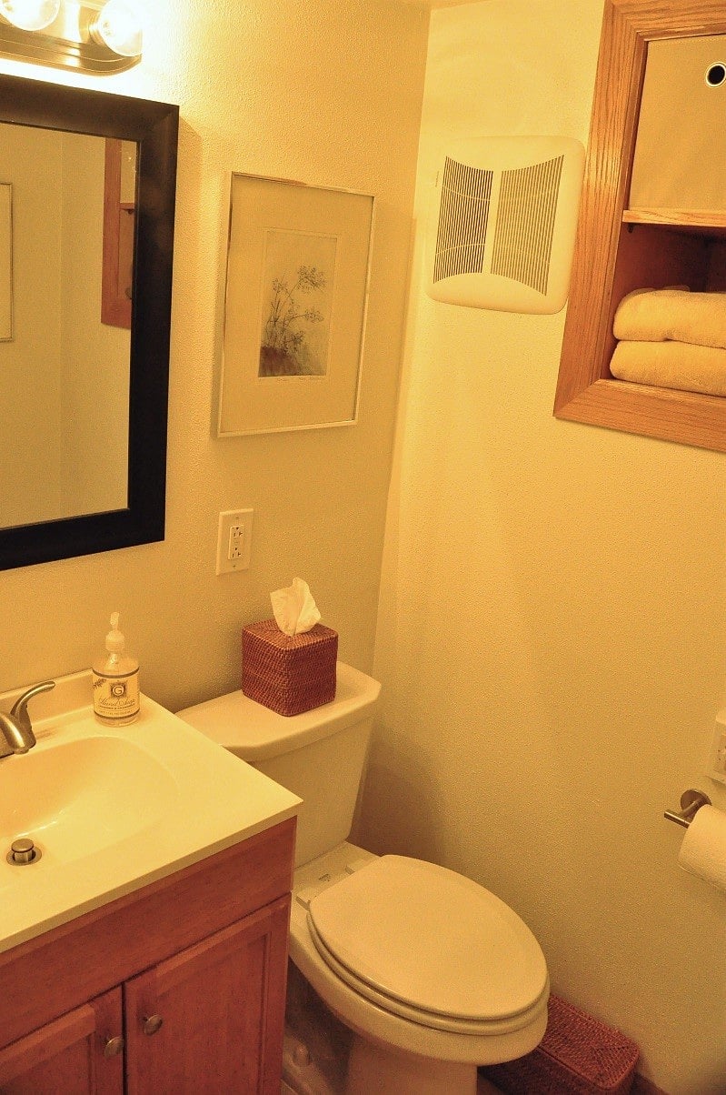 Closer view of sink with under-sink storage and  toilet