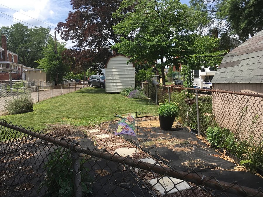 Large relaxing back yard