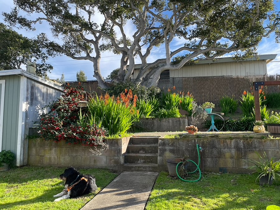 Furnished Finder property 188311_1 photo 13